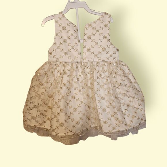 American Princess formal dress 18M - Picture 3 of 6